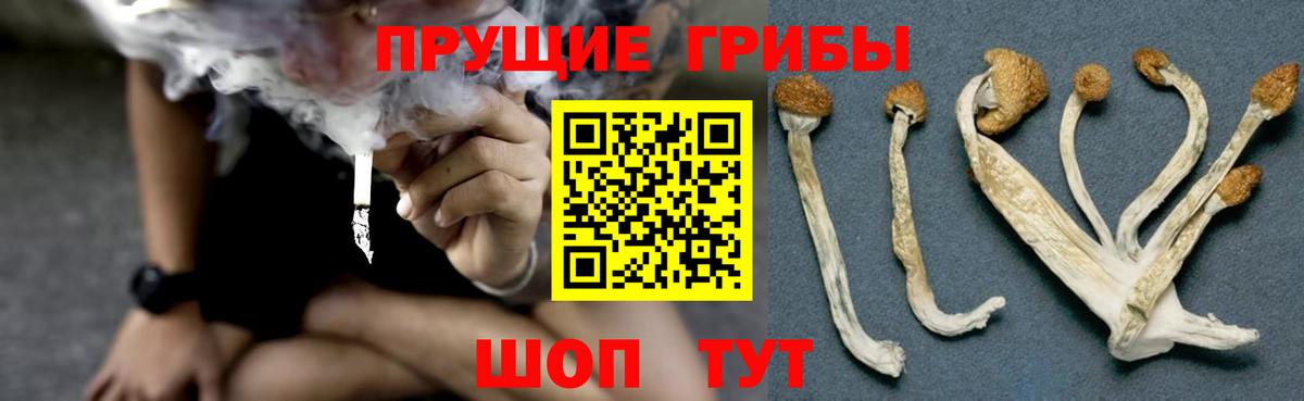 Псилоцибиновые грибы Psilocybine cubensis  Галлюциногенные грибы мухоморы  Вход с VPN  Дербент 